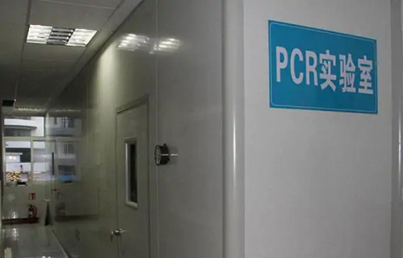 PCR实验室 PCR实验室