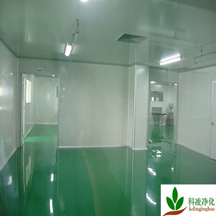 洁净车间 洁净车间