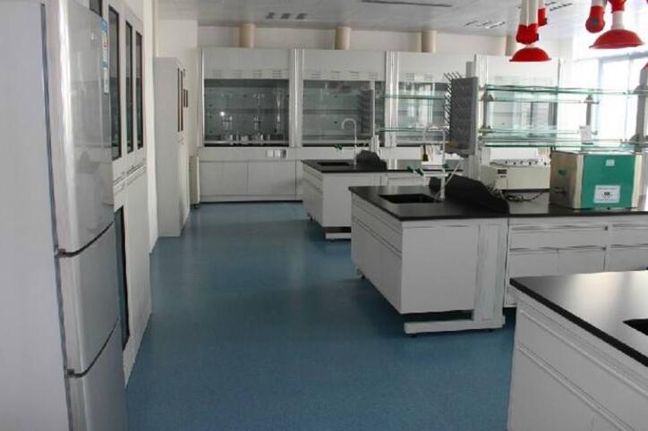 洁净实验室 洁净实验室