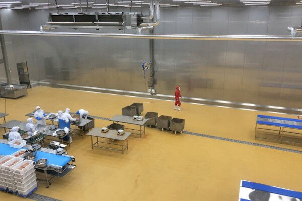 食品净化车间 食品净化车间