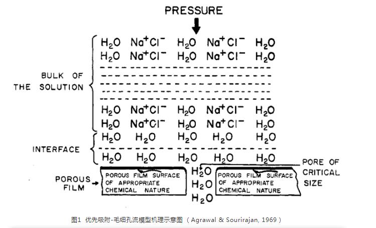 RO膜的有孔无孔之争与过滤模型