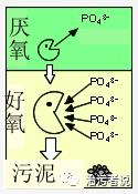 污水厂的处理流程中的工艺细节管理（十五）——生化池的运行细节6