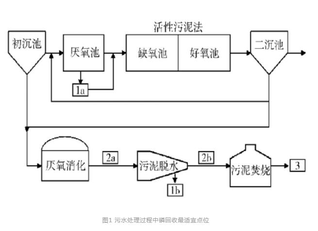 磷回收：技术与政策