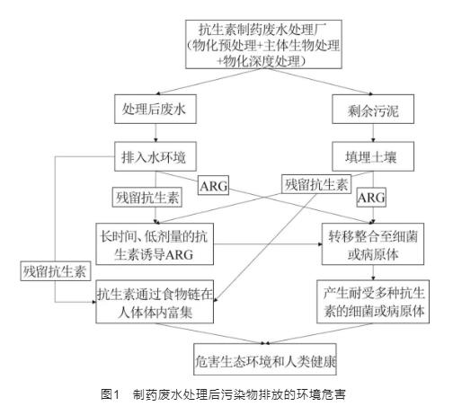 制药废水处理系统中抗生素抗性基因的研究进展