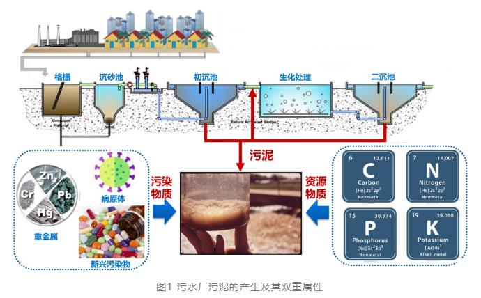 技术前沿：基于等电点预处理的新型污泥厌氧消化技术