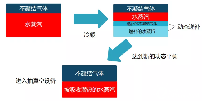 生物质发电年省百万，“高真空、零功耗”多效节能技术火了！